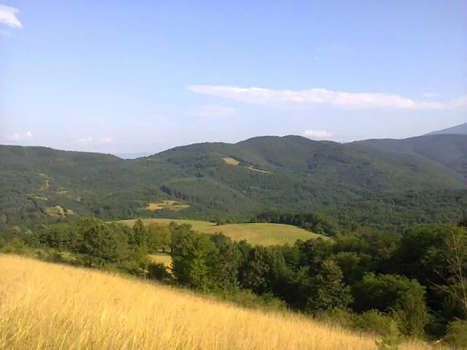 Kotenovtsi