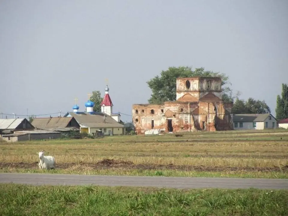 Леніна