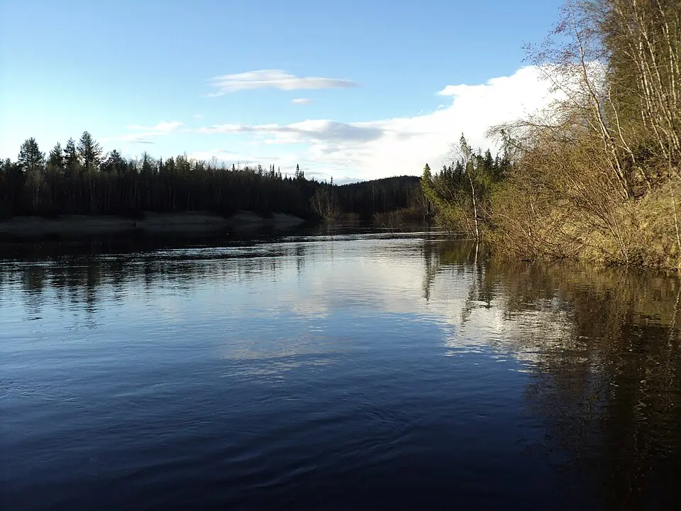 Luttojoki