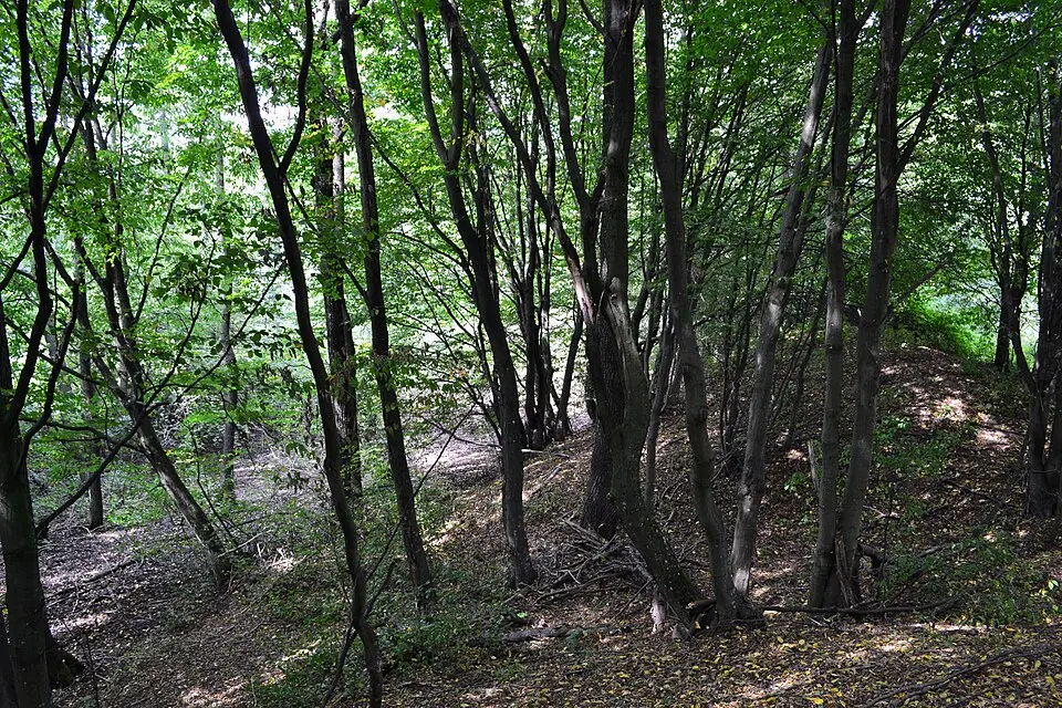 Лыскаўскі замак