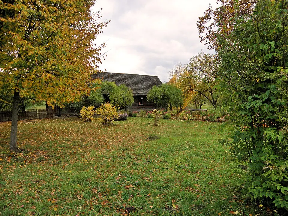 Viazynka