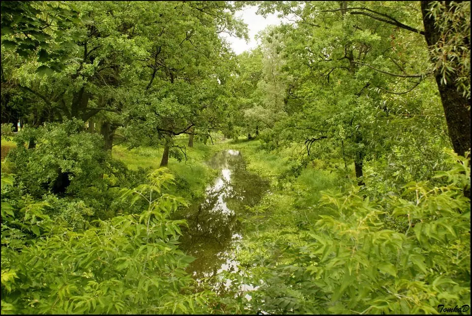 Naravlyanka