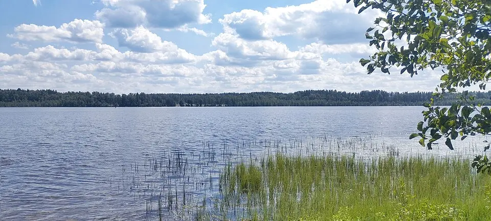 Бялыніцкі раён