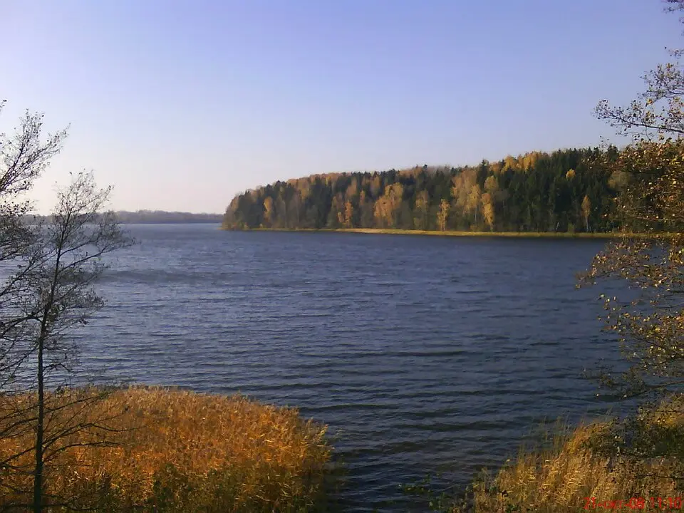 Лотвіны