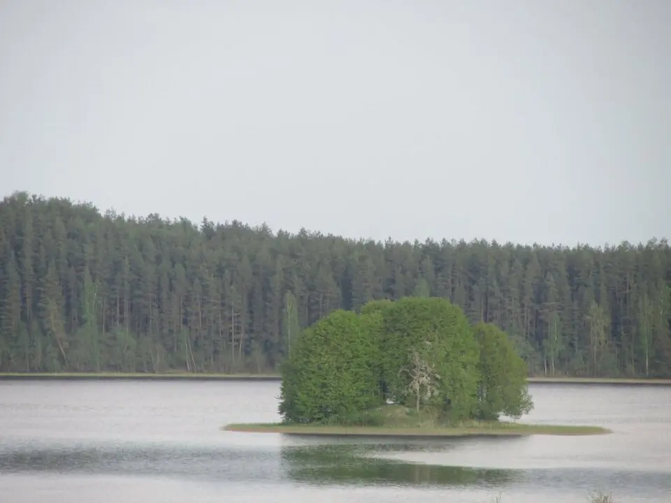 Матырына