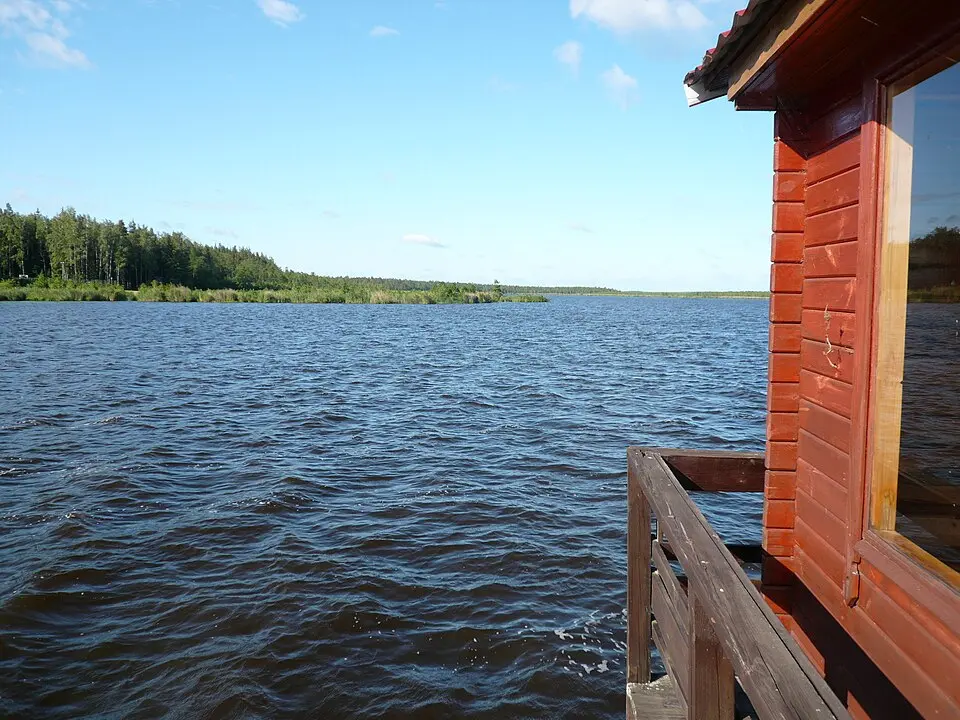 Плаўна