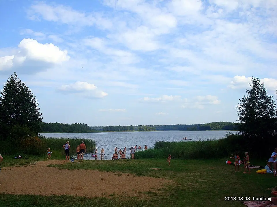 Пліса