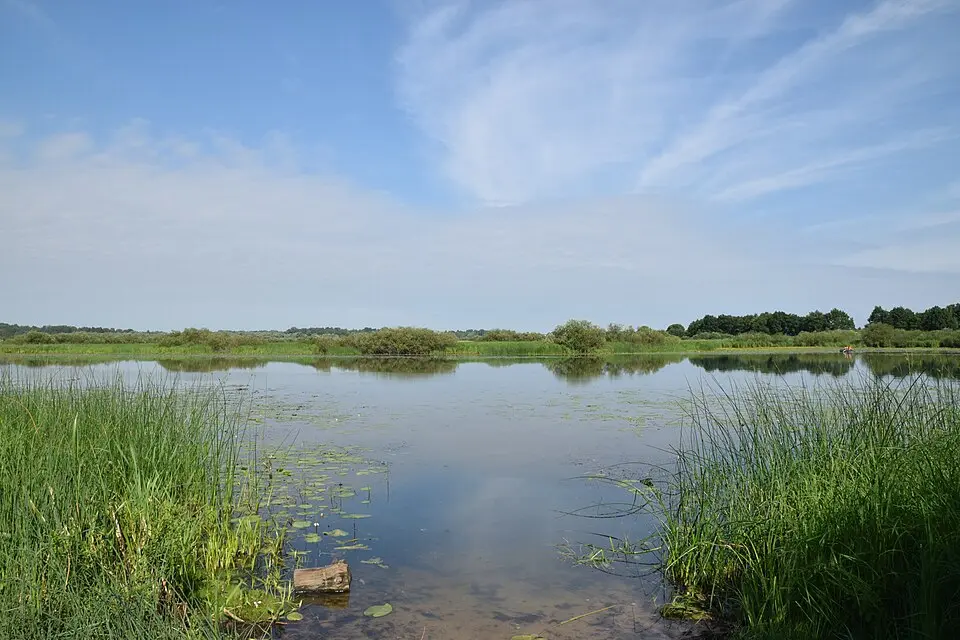 Rajon Slawharad