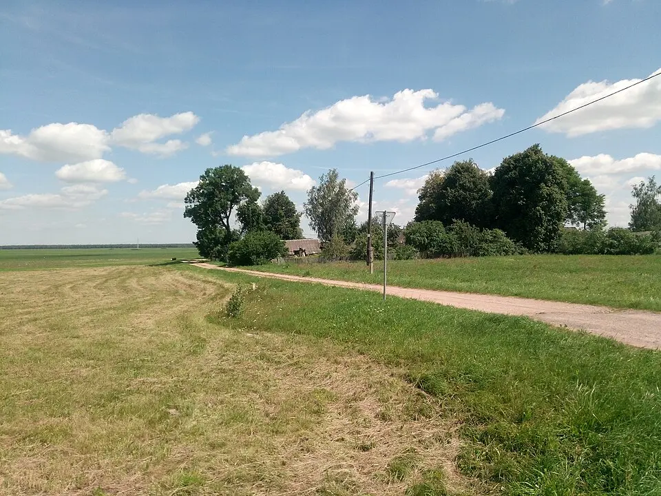 Паддуб’е