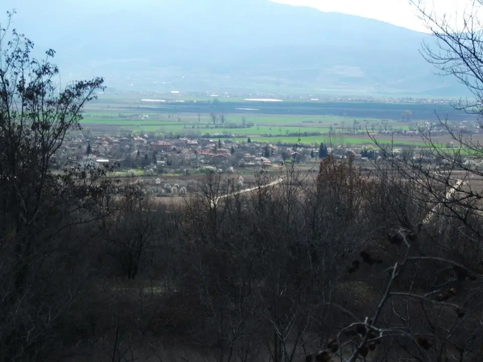 Boshulya
