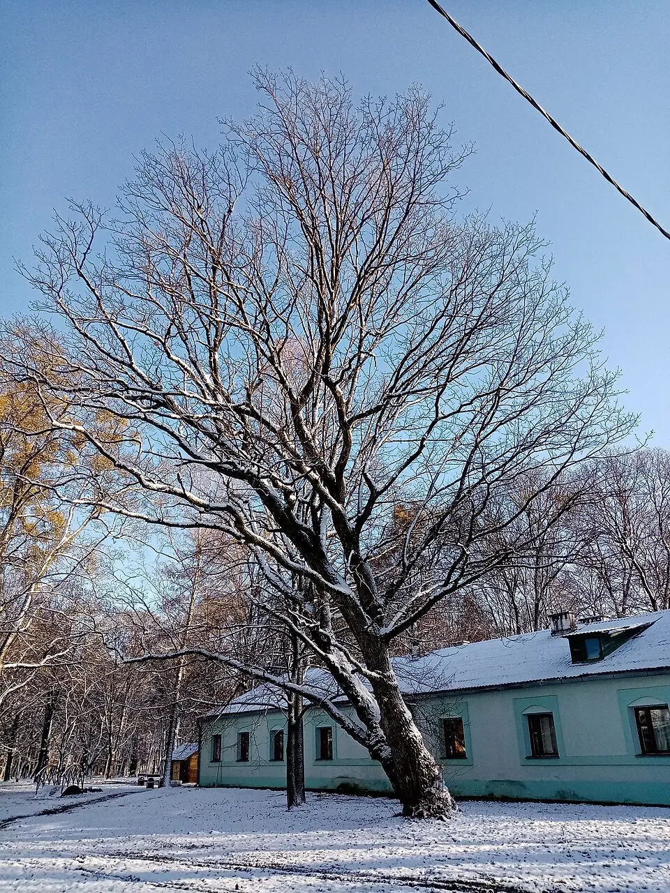 Столінскі краязнаўчы музэй