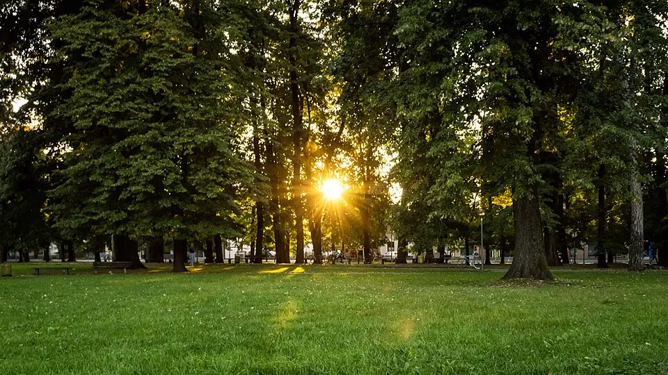 Park "Mladen Stojanović"