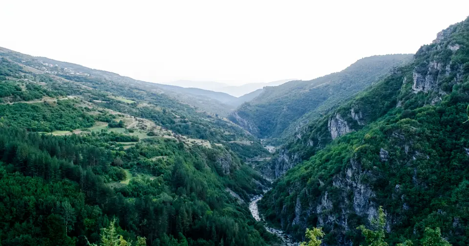Тъмната гора