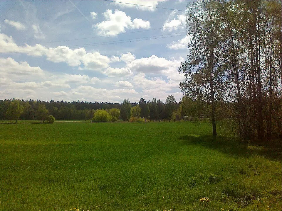 Višnioŭka