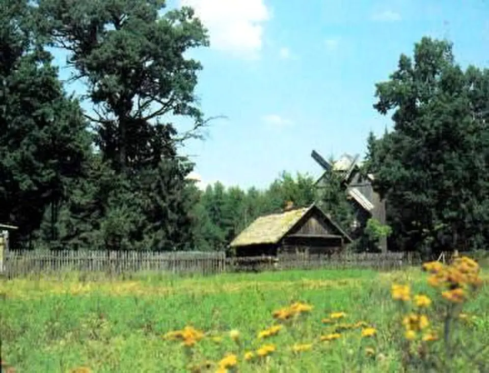 Глуша