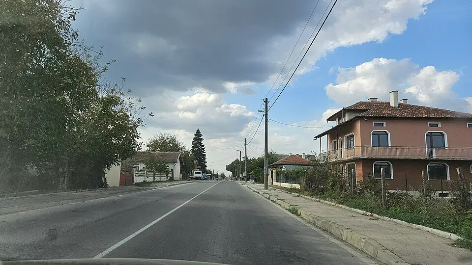 Пчелник