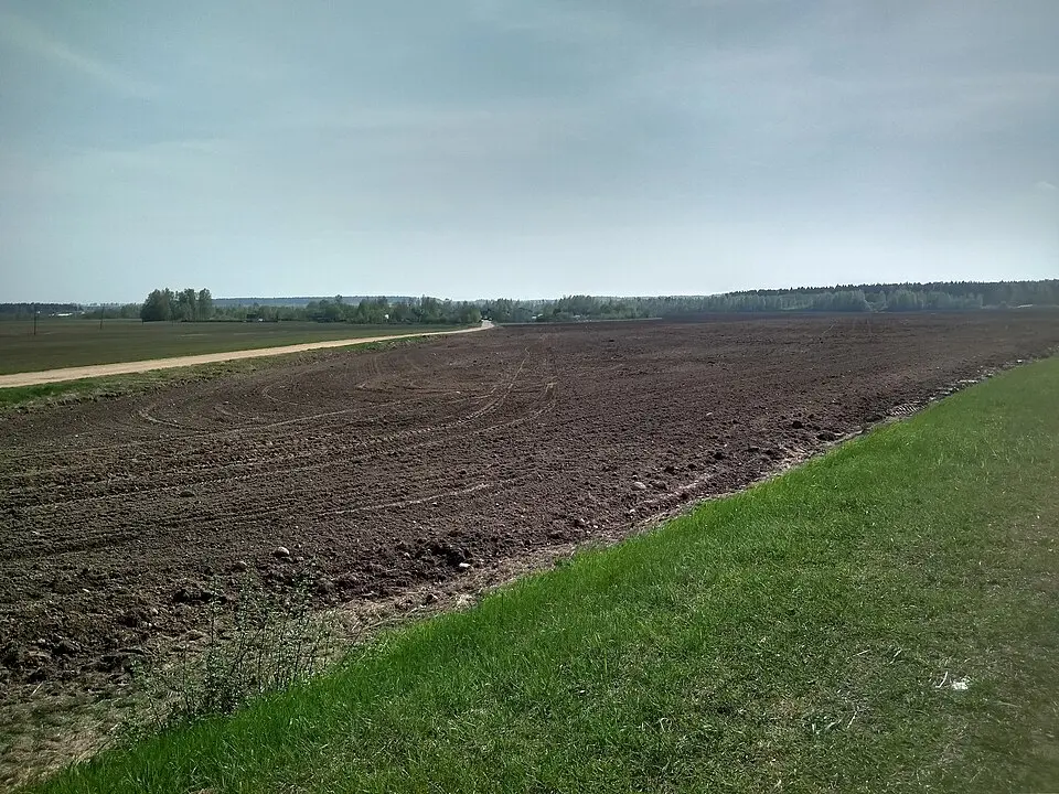 Пяняка