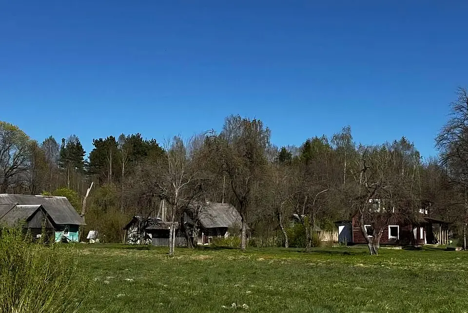 Radziušy