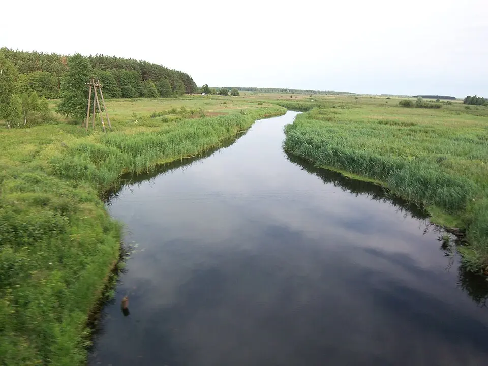 Dobasna