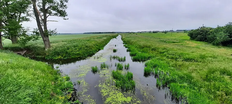 Піліпаўка