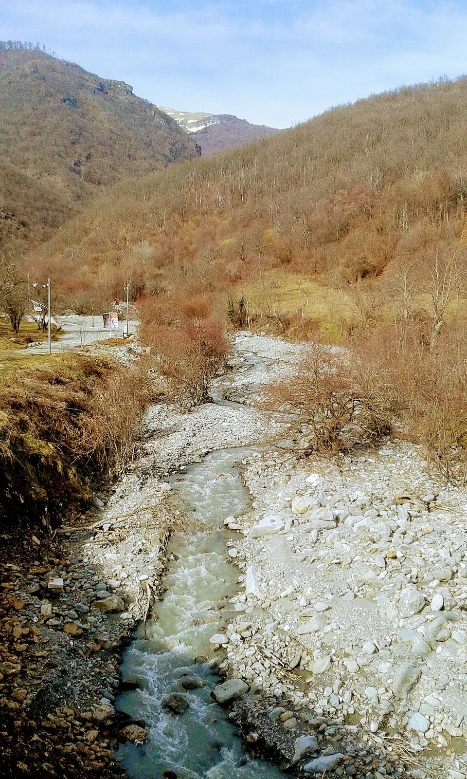 Ракита