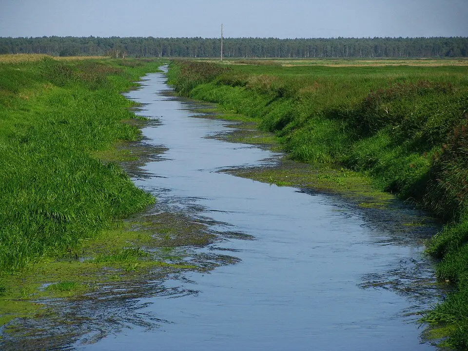 Uša