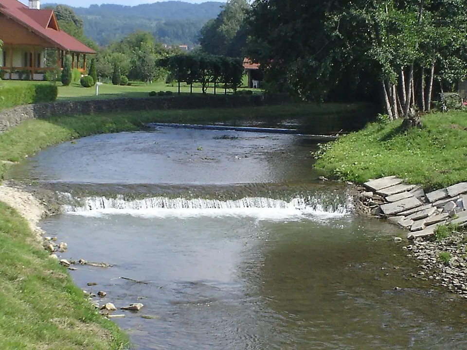 Mlječanica