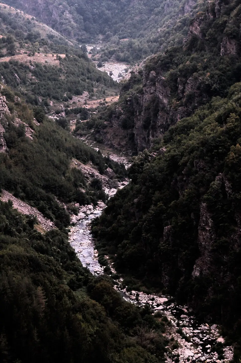 Канина (река)