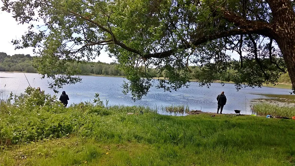 Ліпна