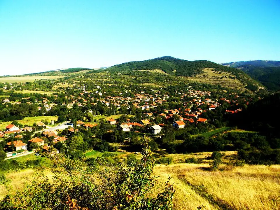 Елешница
