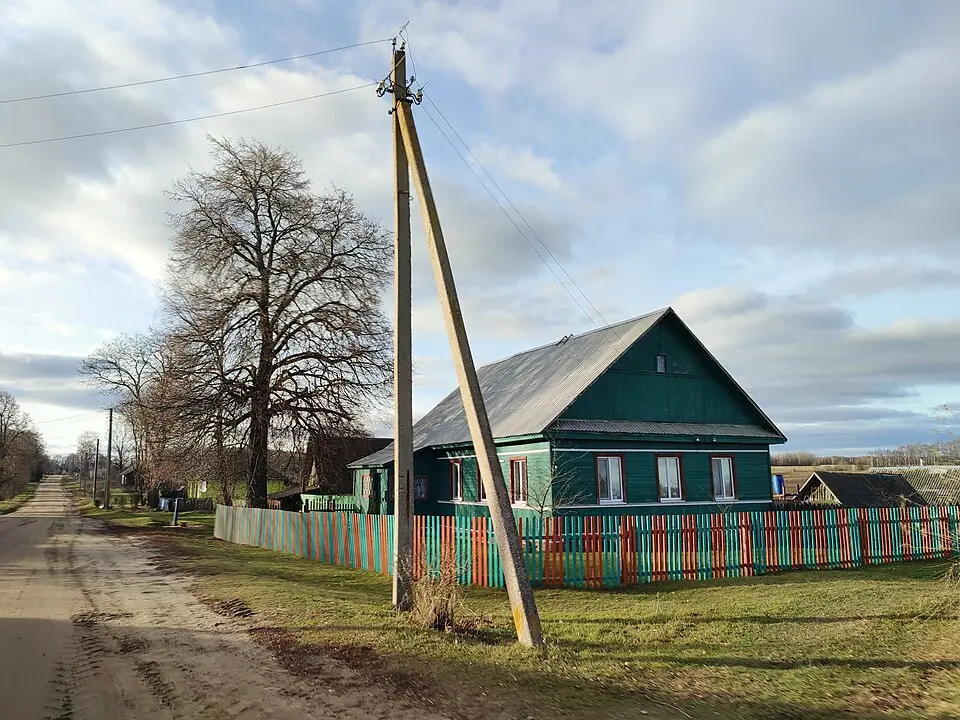 Сапрынавічы