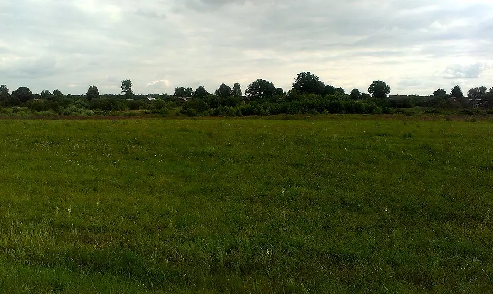 Сьвіцічы
