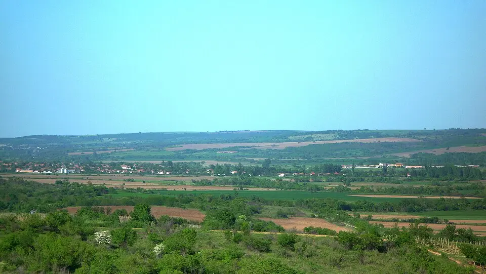 Дерманци