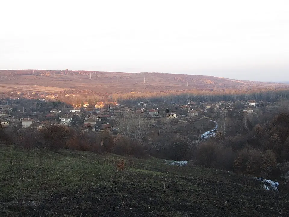 Държаница