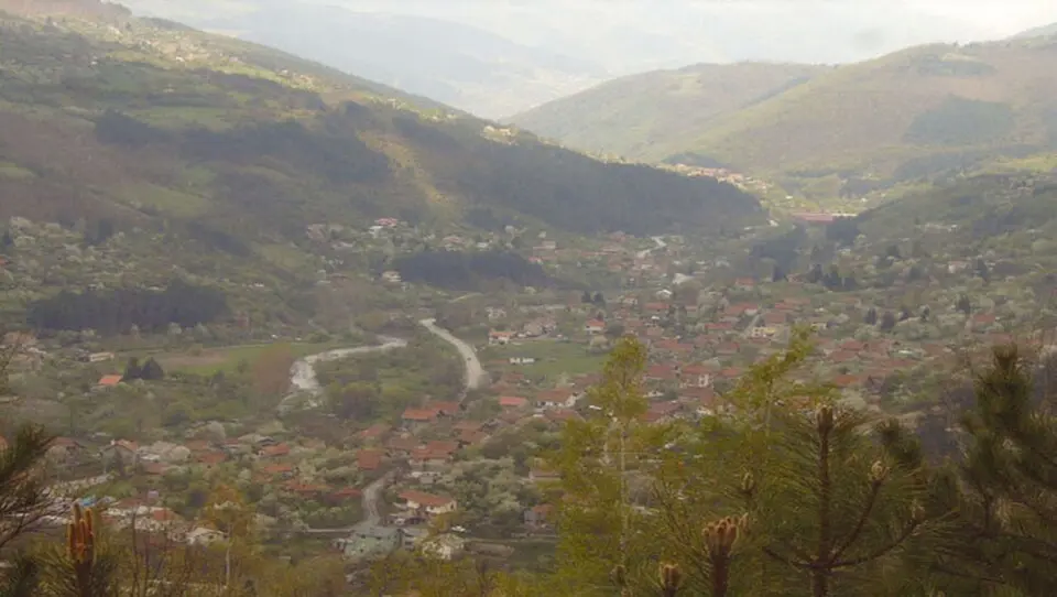 Svidnya