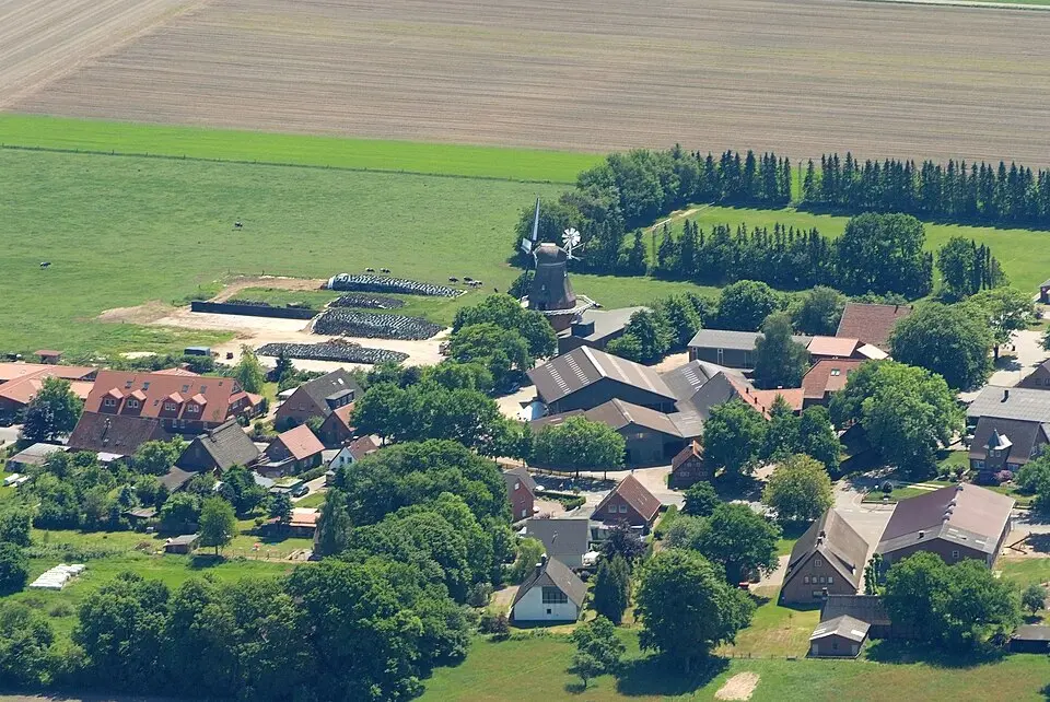 Lintig