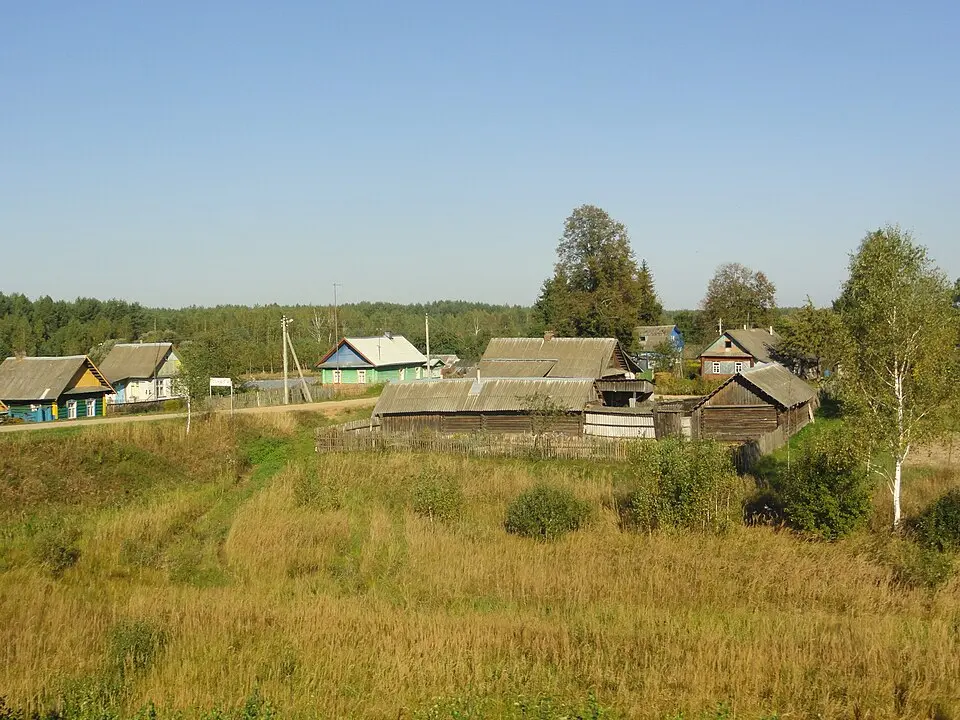 Сінюга