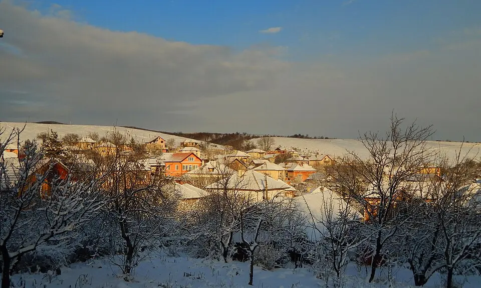 Върбешница
