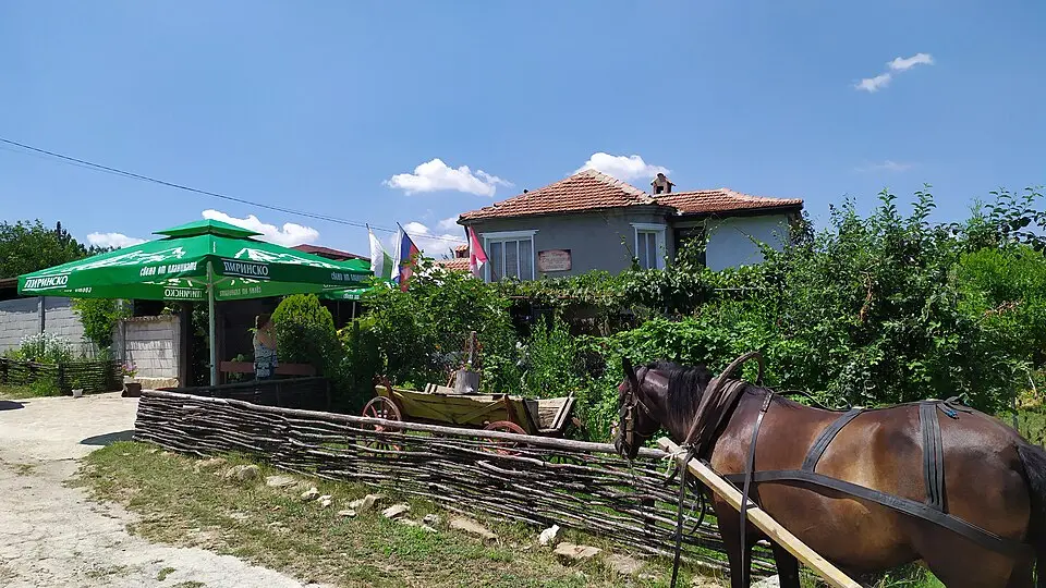 Solnik