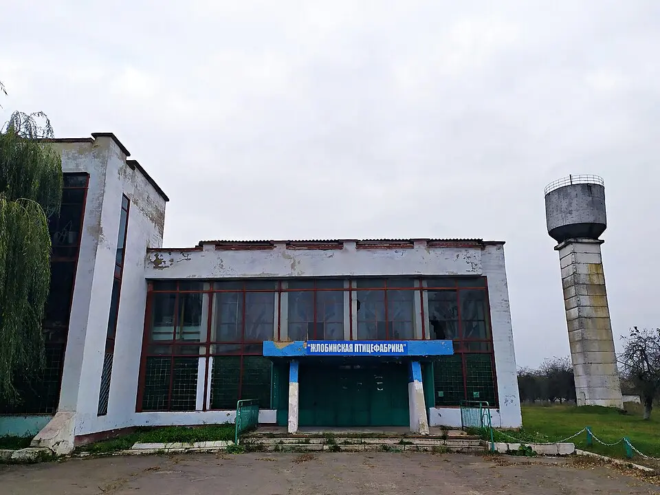 Salanoje
