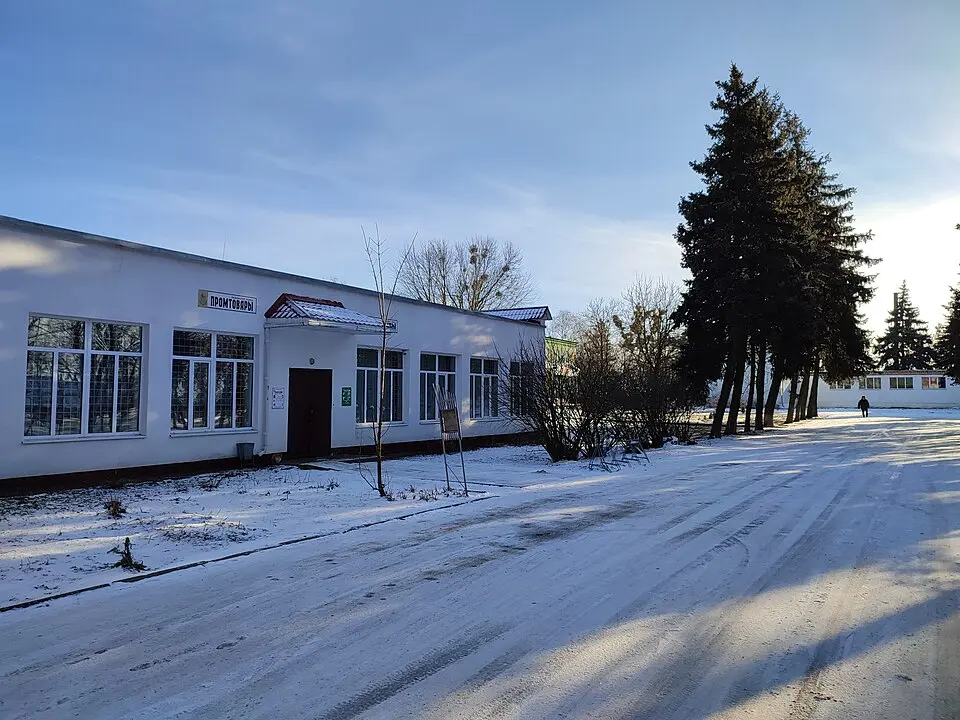 Сосны 2