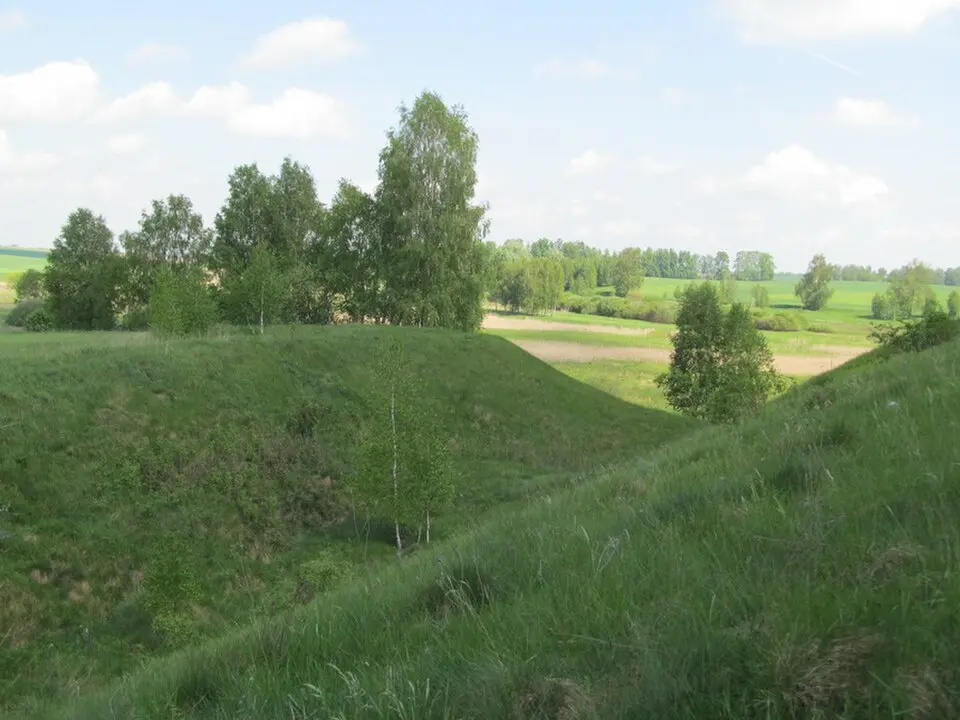 Старая Мыш