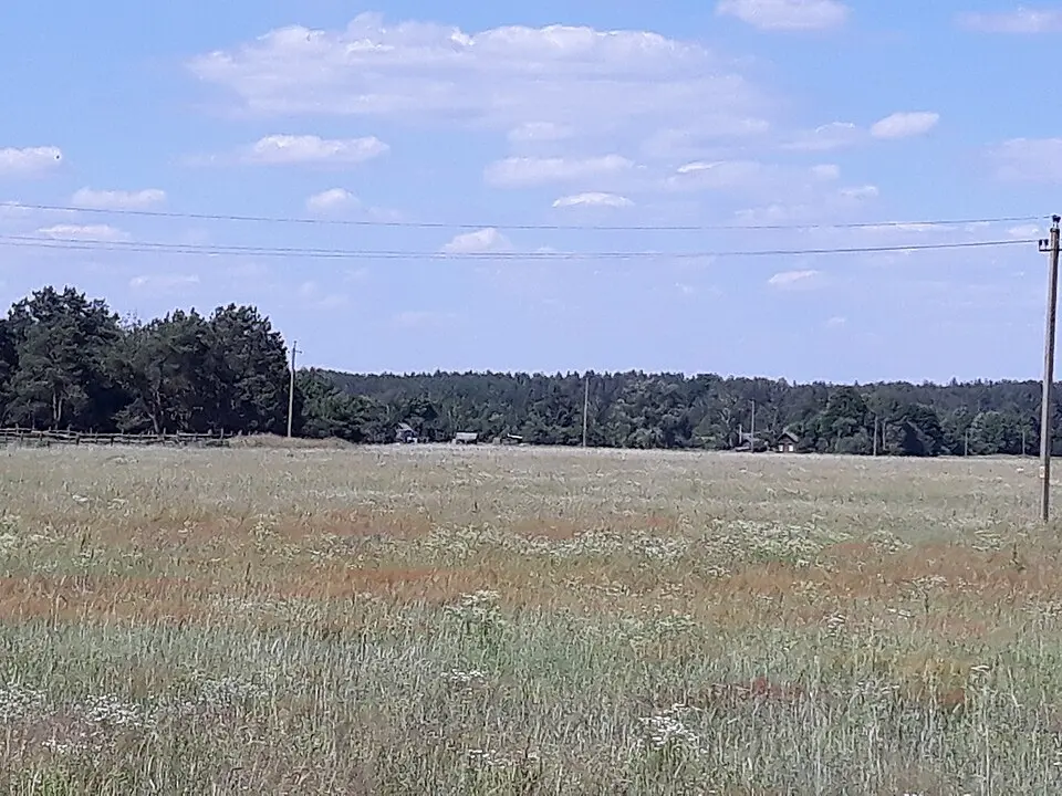 Сямёнавічы