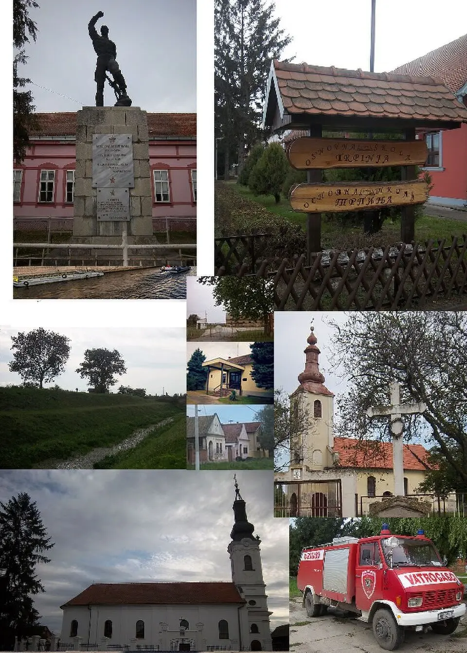 Trpinja