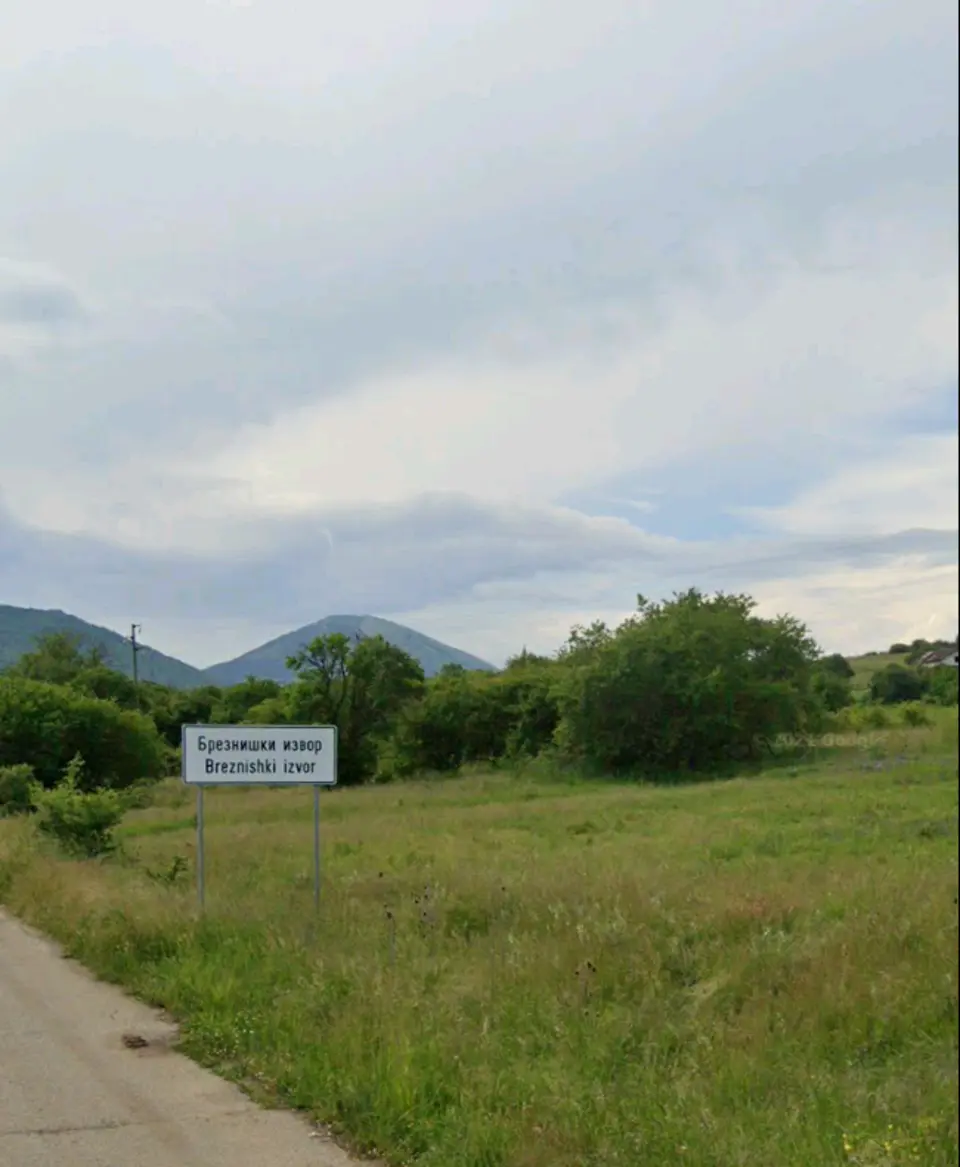 Брезнишки извор
