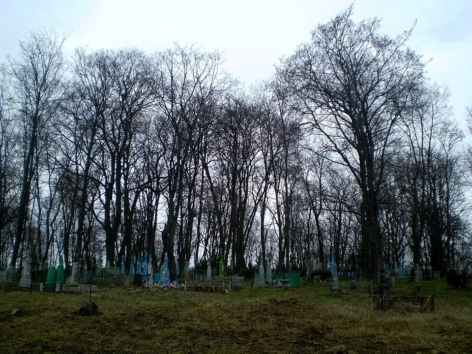 Трышынскія могілкі