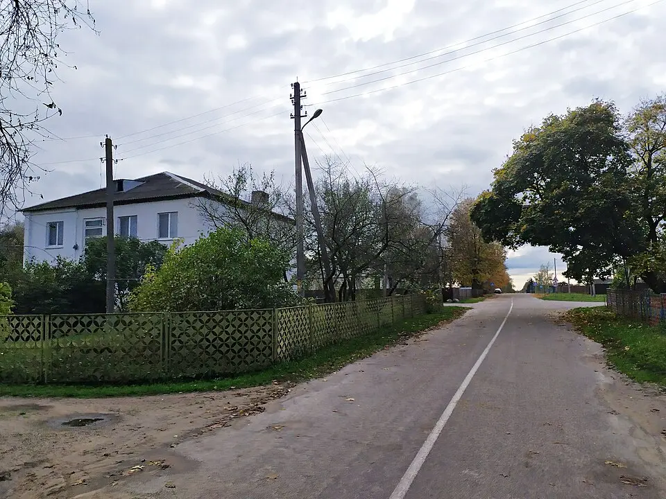 Турын