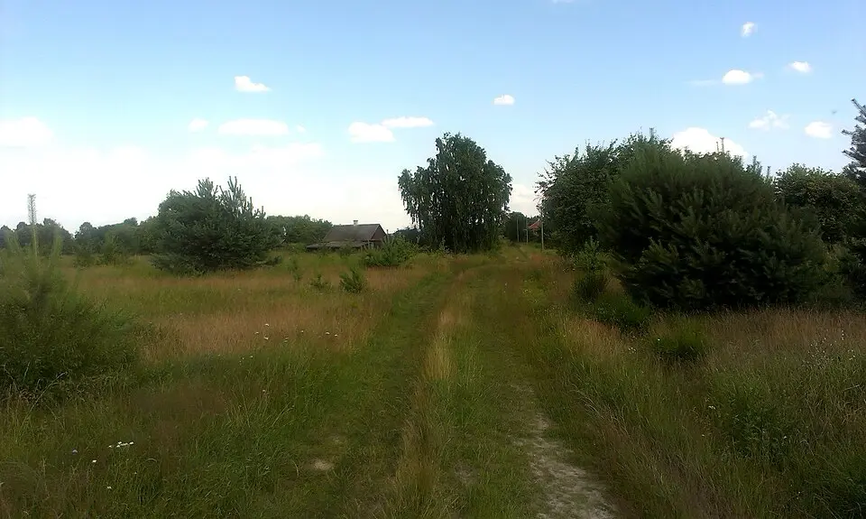 Залесьсе