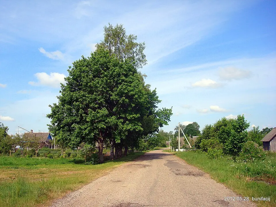 Lučna