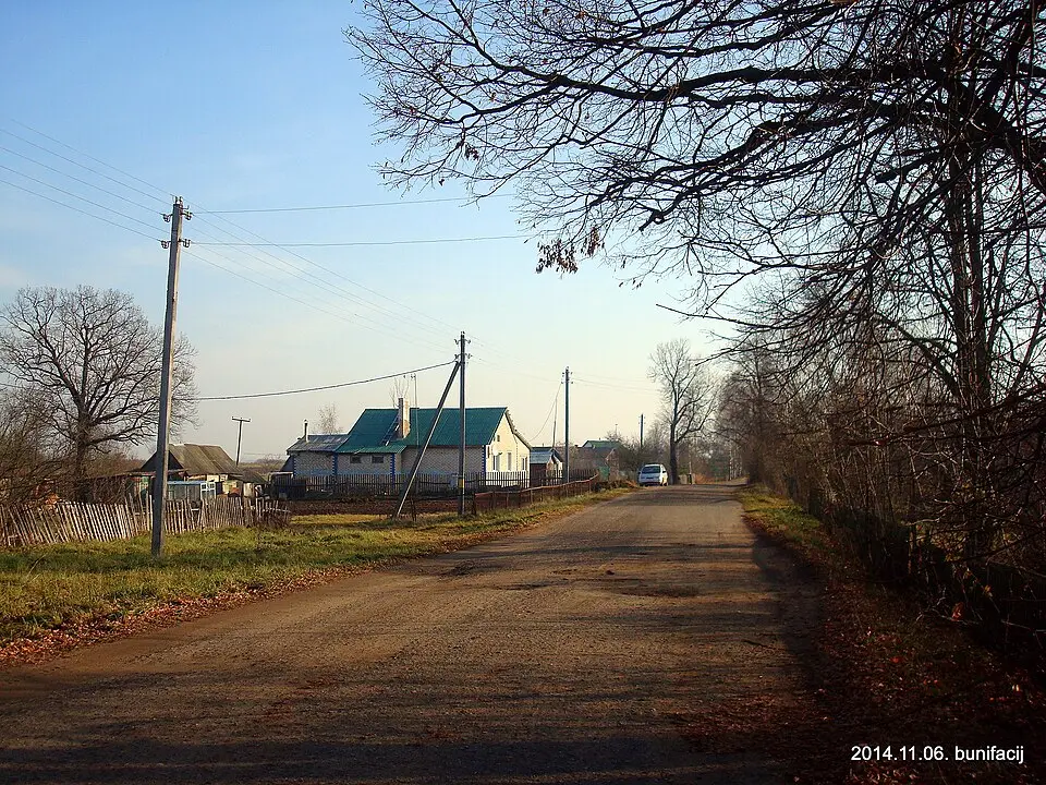 Несіна